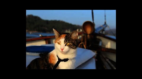 Mille at sea 080921