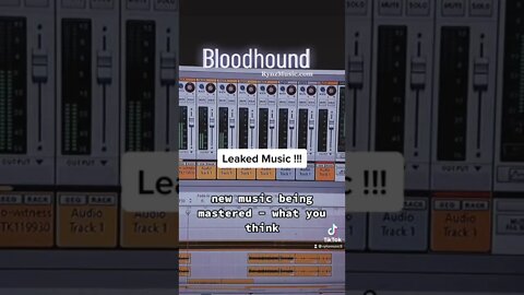 LEAKED MUSIC !!! - Unreleased. Bloodhound #Bloodhoundgang #NOTUPCHURCH #Fyp #4yp