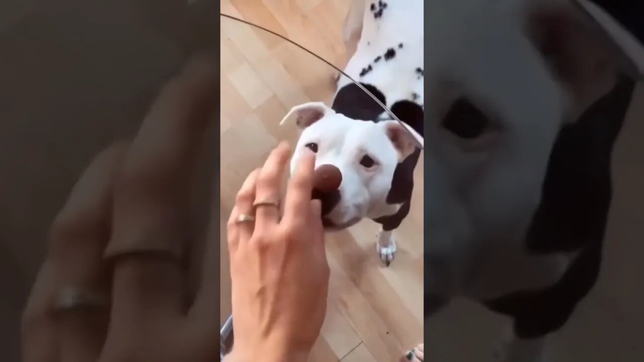 Get it