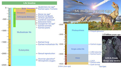 Evolutionary Biology: History of Life, Mass Extinction Events, and Dinosaurs