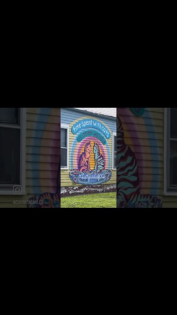 New #FurFriends @luckycatcafe in #Louisville #louisvilleky #highlands #cats #nonprofit #carmita