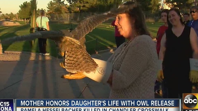 Bird released in honor of Chandler crash victim