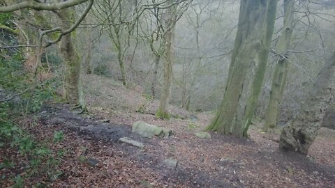 New Year Walk around Hill Top Reservoir