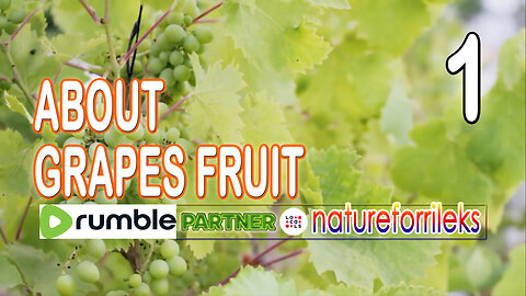 About Grapes Fruit Part-1