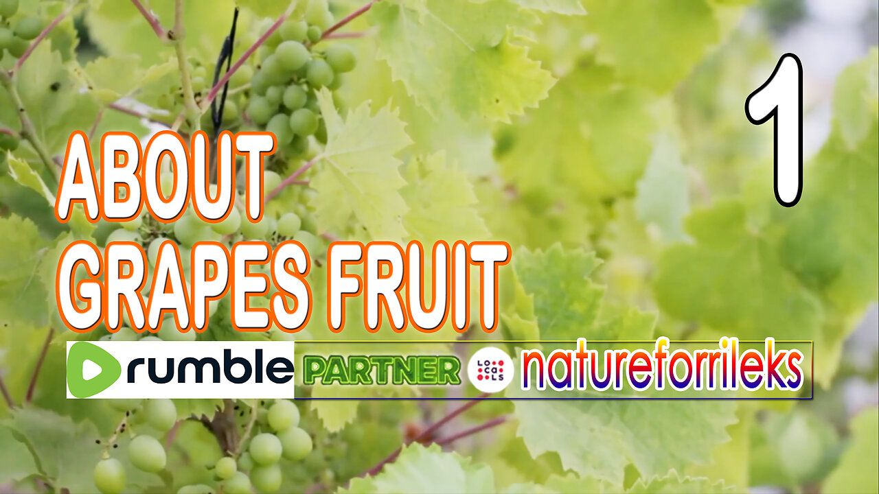 About Grapes Fruit Part-1