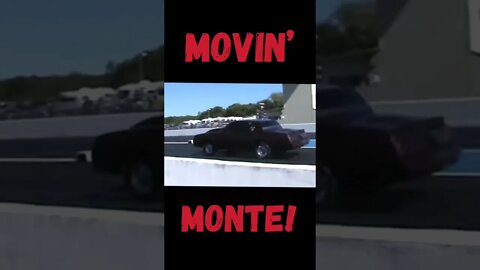 Movin’ Monte! #shorts