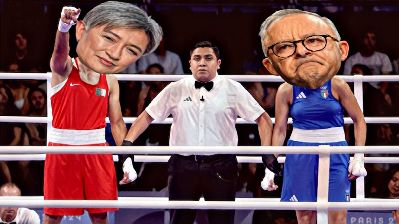 Albanese and Wong react to Olympics Boxing Controversy