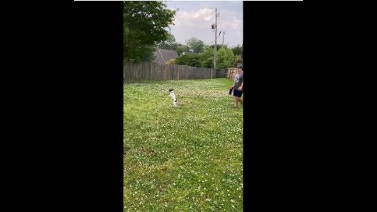 Princess goes vertical for tennis ball