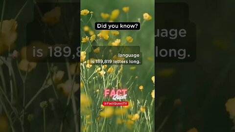 The longest word in the English language