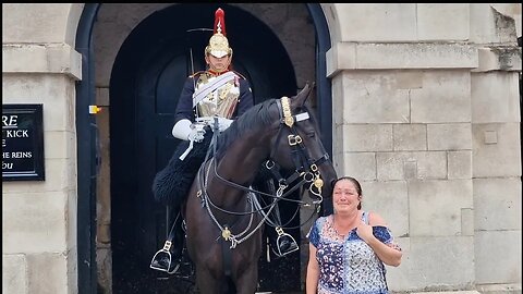 The horse loved being told it was beautiful #horseguardsparade