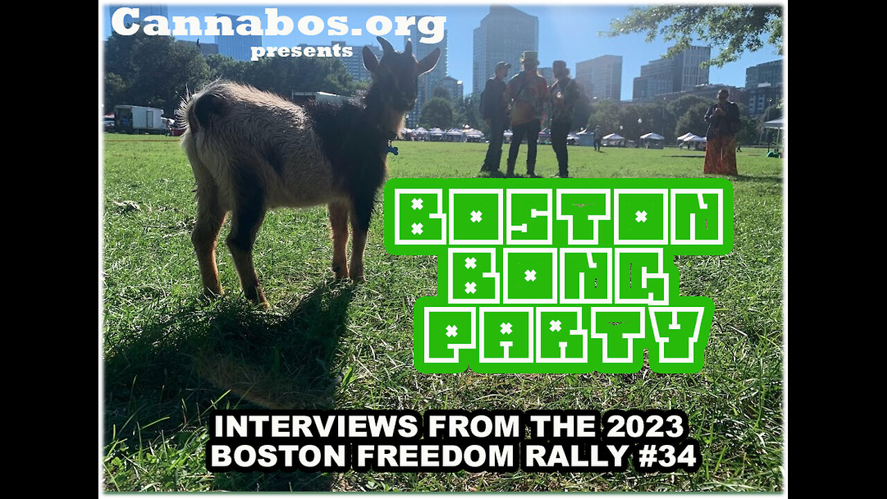 Cannabos.org presents Boston Bong Party Interviews from The '23 BOS.Freedon Rally | music by DJ SLIM