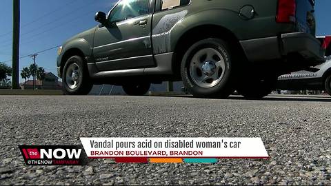 Acid thrown on disabled woman's SUV at Kmart in Brandon