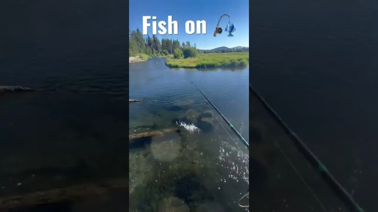 Catching Trout