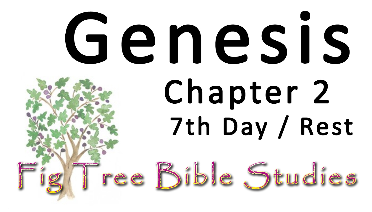 Genesis 2 (7th Day, Rest)