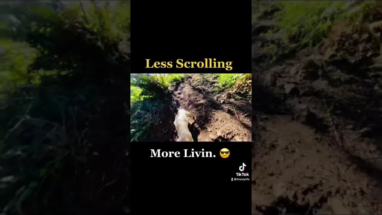 Less scrolling, more livin. 😎#short