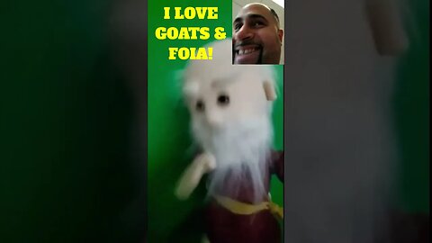 Frauditor GoatBoy Talks to His Dr. Dave Puppet: Classic! #shorts