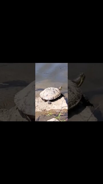 #milan I want to go back!