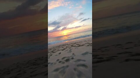 FPV ON A BEAUTIFULL BEACH IN SEYCHELLES #Shorts