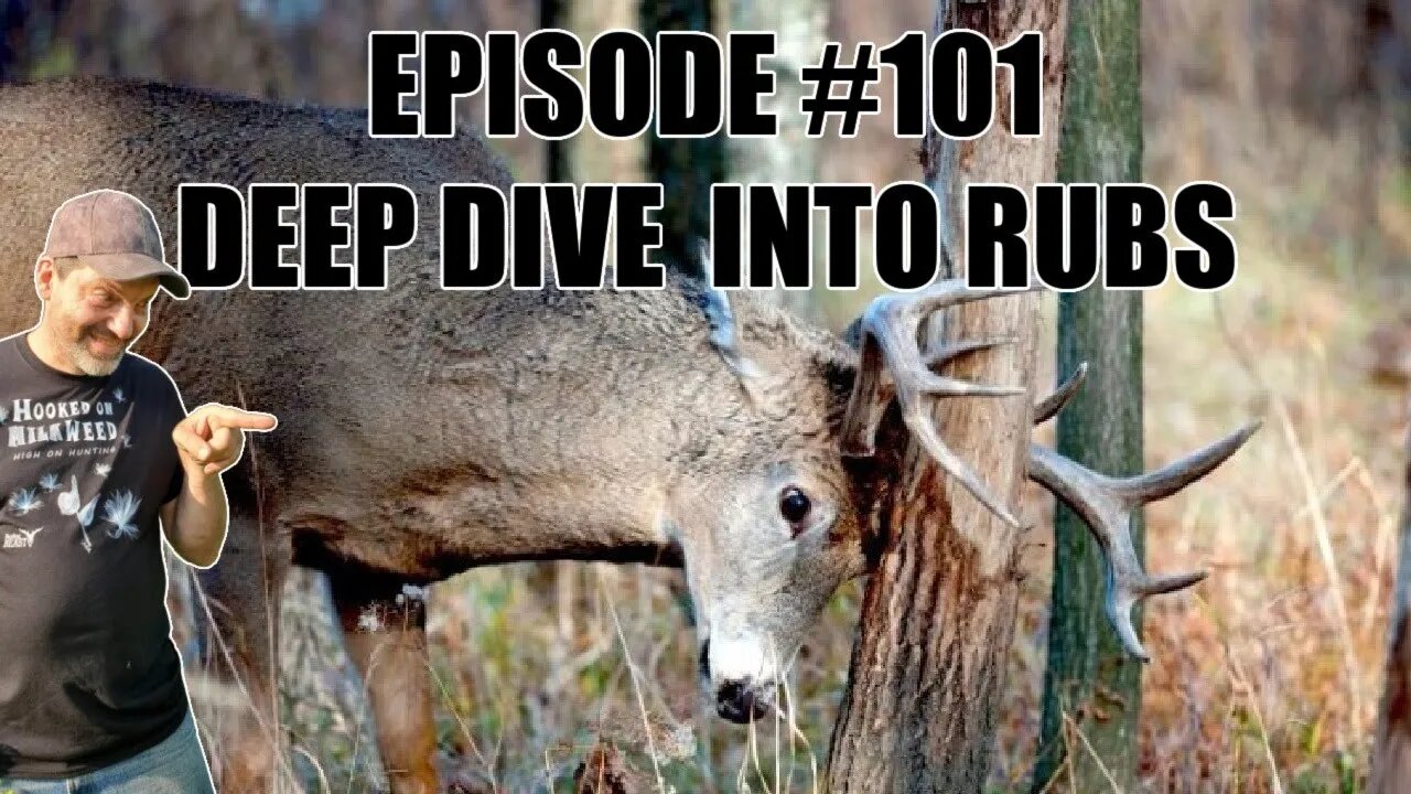 #101 - Deep Dive Into Rubs