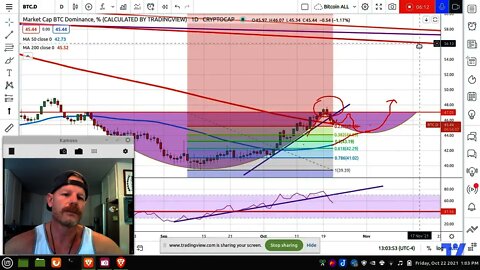 UPDATE: Bitcoin Dominance Did Break. Future Projections.