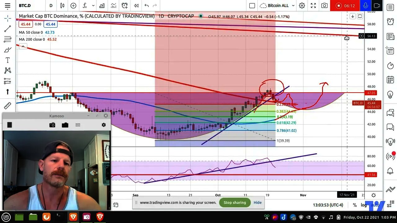 UPDATE: Bitcoin Dominance Did Break. Future Projections.