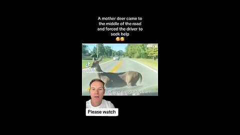 God’s creatures. Pay attention.
