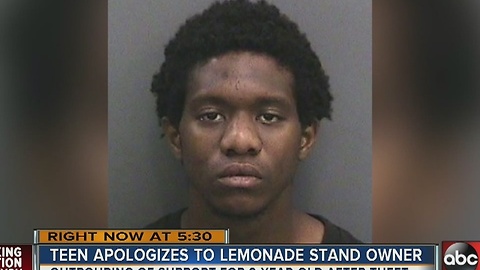 Teen apologizes to lemonade stand owner