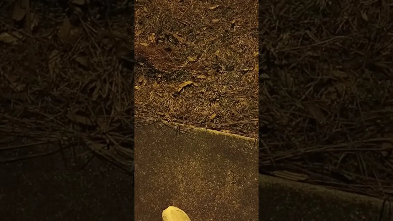 January 11, 2023 #gangstalking planes flying DIRECTLY over MY head! Pt. 1