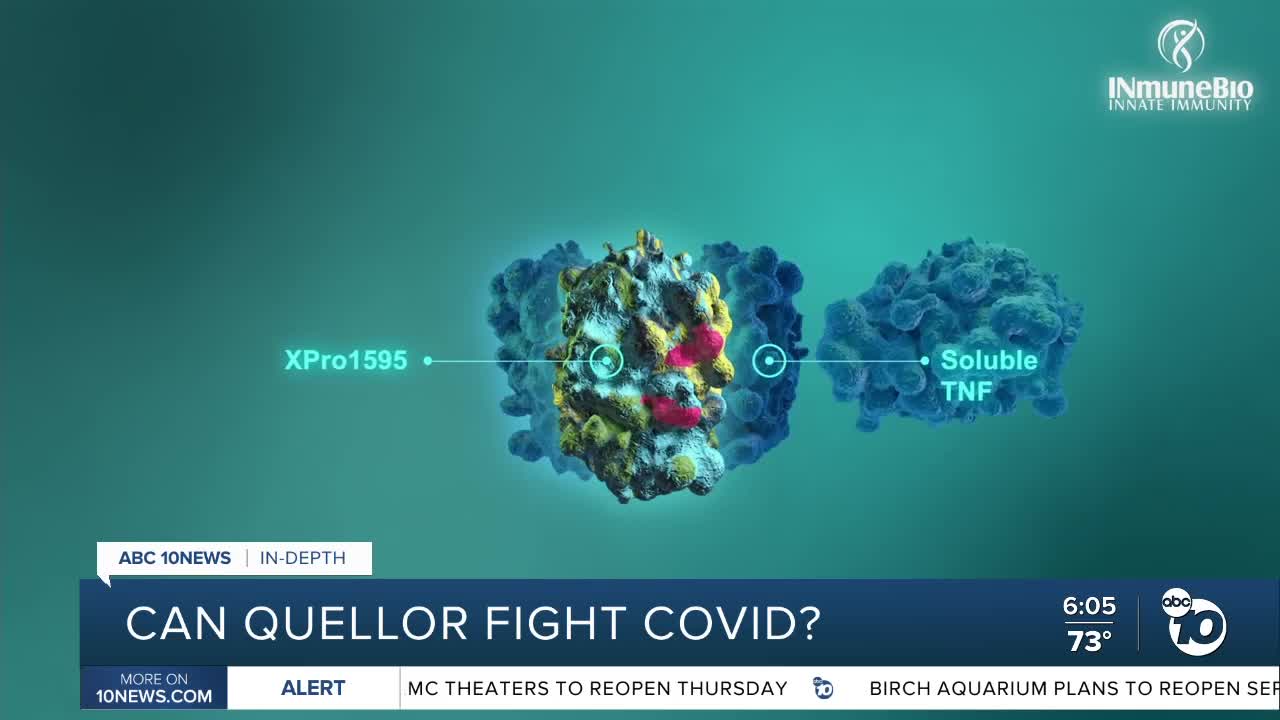 In Depth: Can Quellor fight COVID-19?