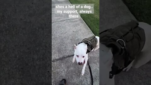 I hope that you find this kind of happiness in your life that I do when I see this dog