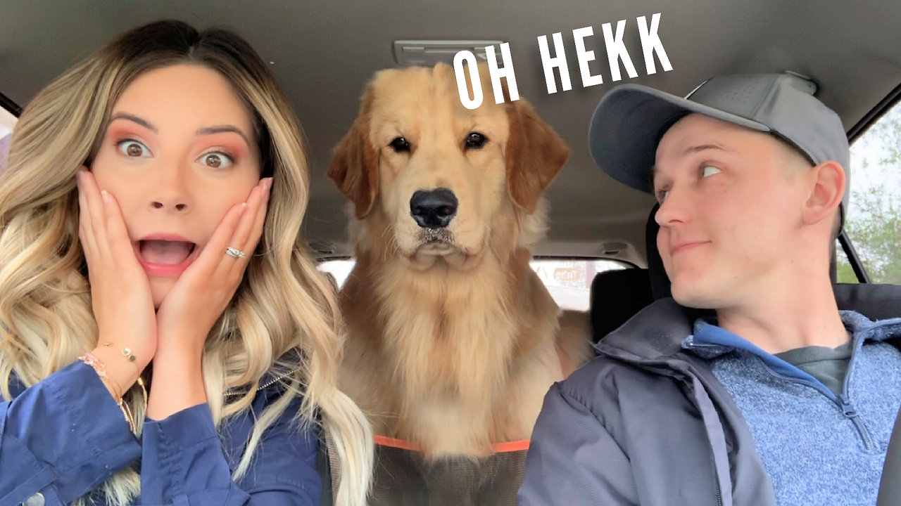 My Dog Reacts to Car Wash!