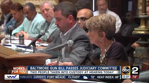 Amended gun bill passes judiciary committee