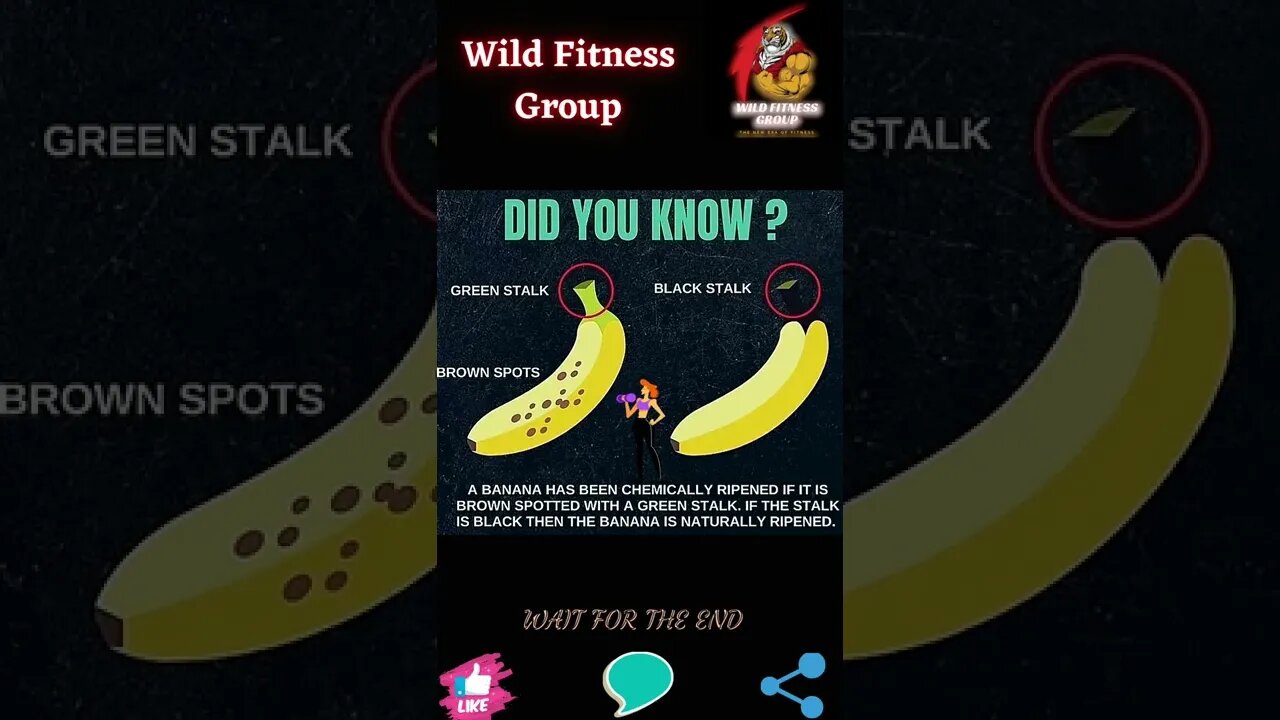 🔥Banana growth🔥#shorts🔥#wildfitnessgroup🔥2 January 2023🔥