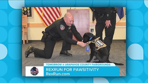 RexRun for Pawsitivity Tomorrow! // RexRun.com