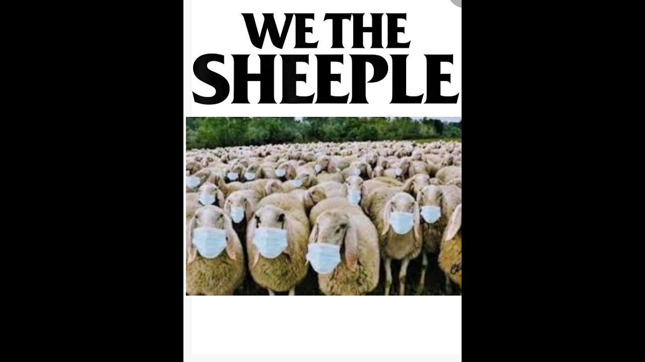 WARNING THIS VIDEO WILL FRIGHTEN THE YOUNG & OLD A LIKE!