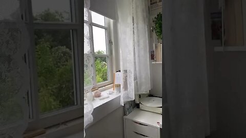 June 24th tiktok carolinekrarup
