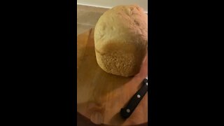 French Bread 🍞 Meatballs & Green Pasta for my wild animals