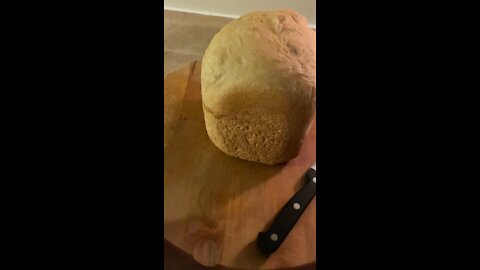 French Bread 🍞 Meatballs & Green Pasta for my wild animals