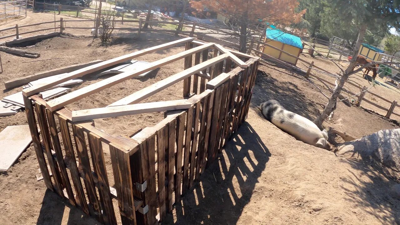 Built a Pig Shelter with Pallets-Goat Hoof Trimming-Moved our Cow-Beautiful Living Farmhouse