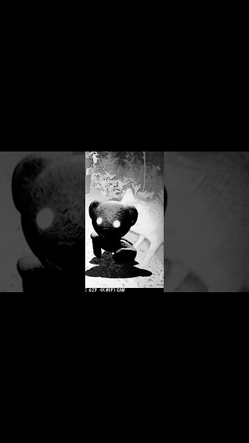 A Creepy Bear Visits! #Shorts 😬