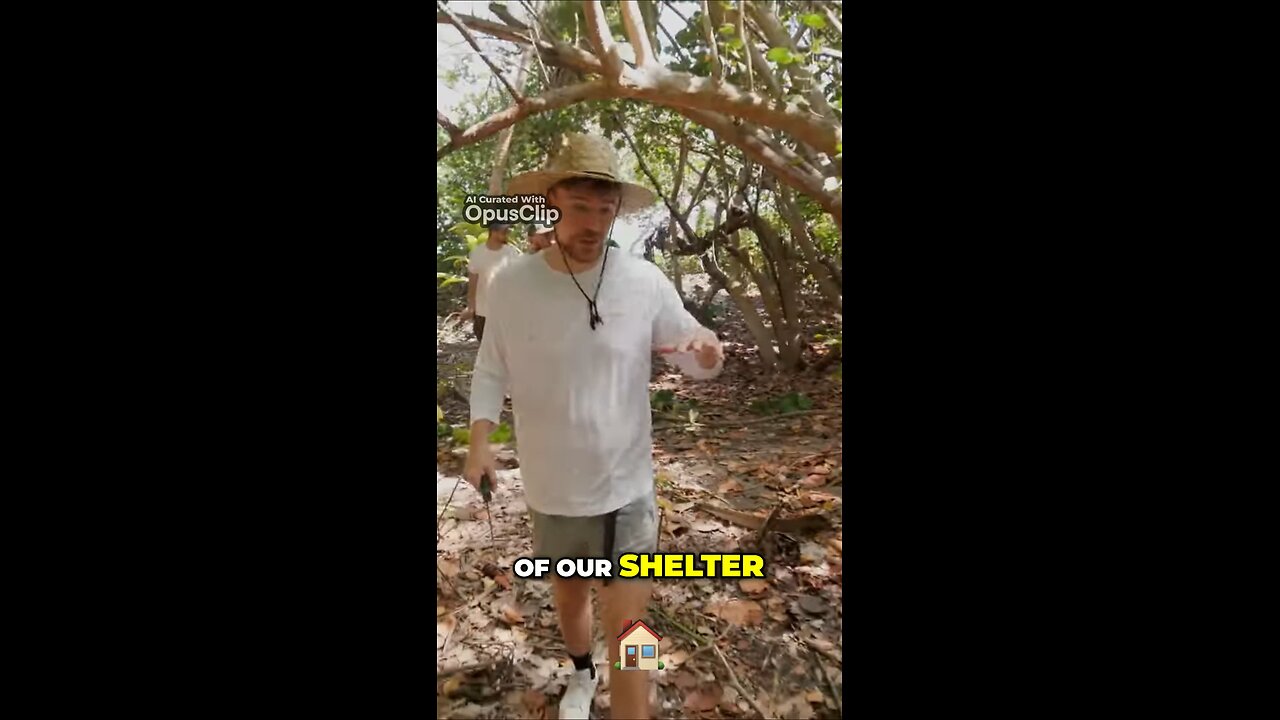 Building a Rainproof Shelter Upgrading Comfort in the Wilderness mr beast #viral