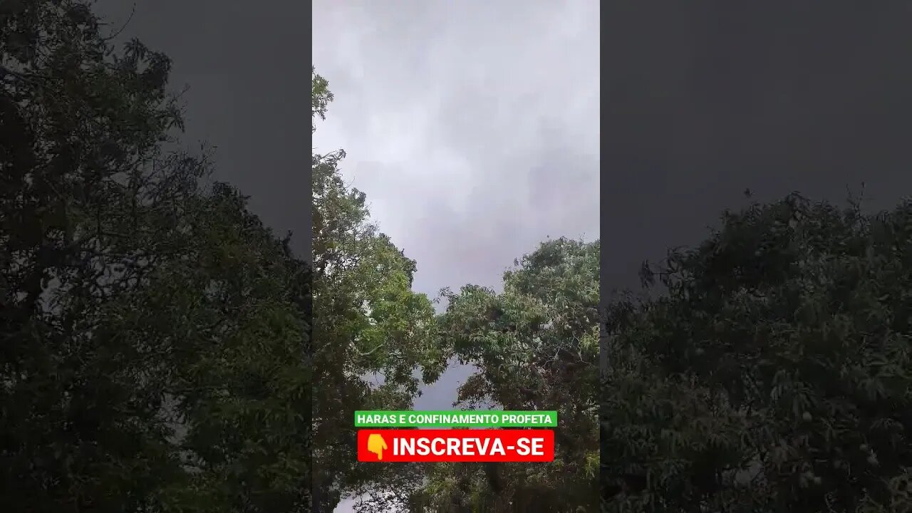 vem chuva, vem devagar 🌧️ #shorts #agro #roça #haras #agropecuaria #chuva #agua #tempestade #tempo