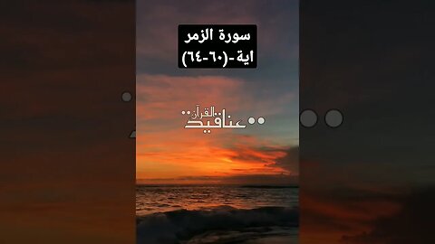 سورة الزمر -(٦٠-٦٤) قارئ الشيخ عبد الرحمن البيتي #quran #viral #shorts