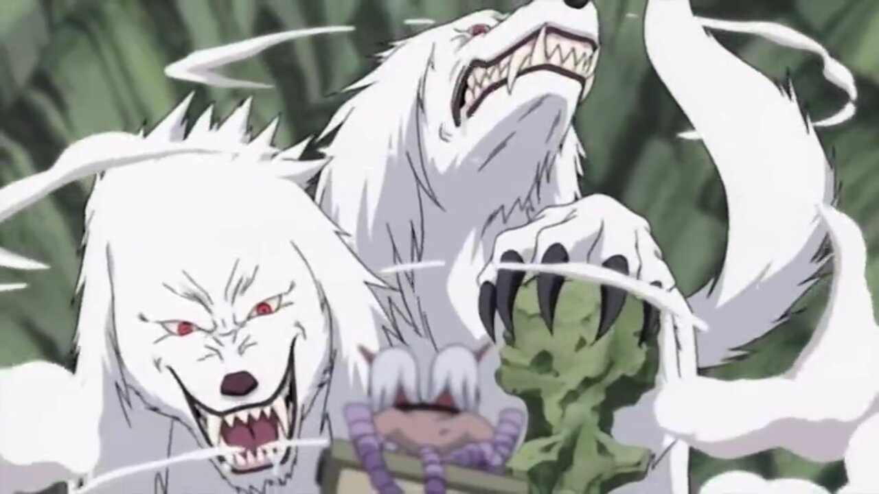 Kiba & Akamaru Vs Sakon & Ukon AMV