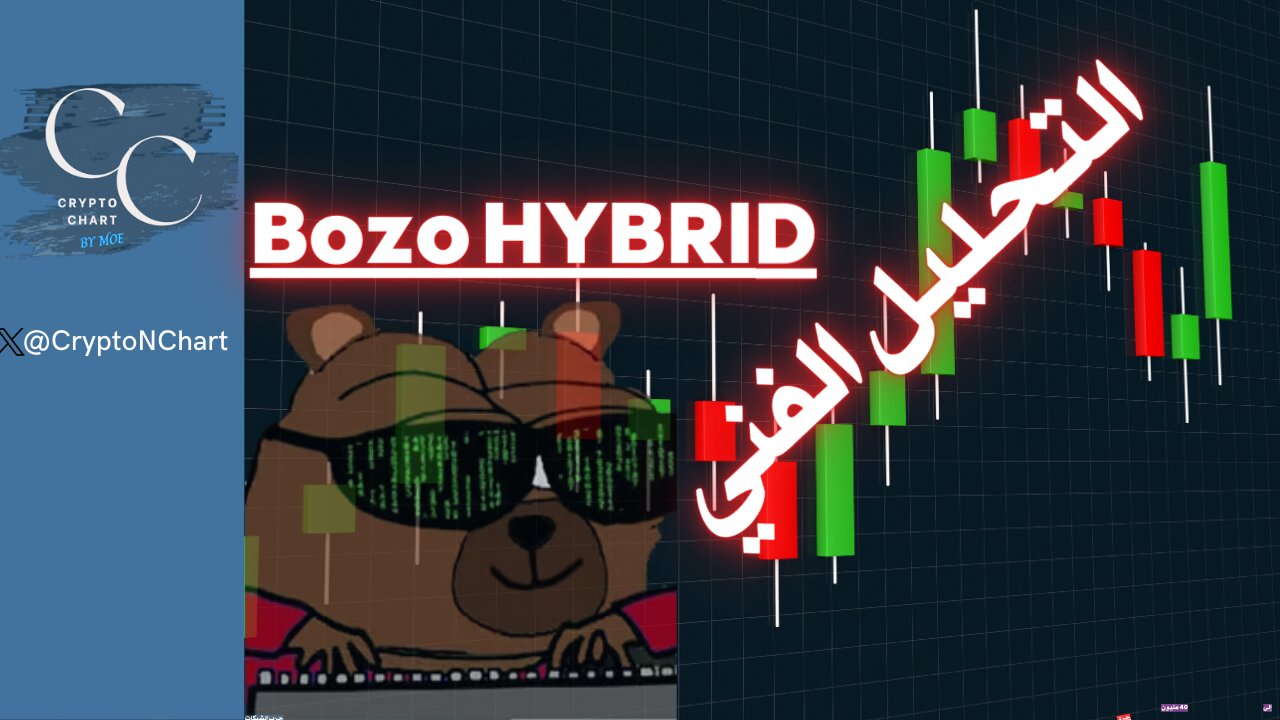 #BOZO# HYBRID | تحديث | وانطلق السعر