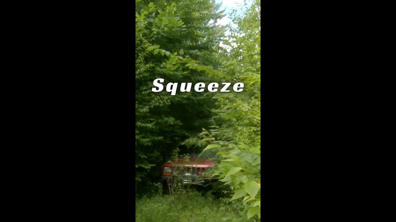 Squeeze - A Tight Spot with Jeep Cherokee XJ in the Pennsylvania Wilds #shorts