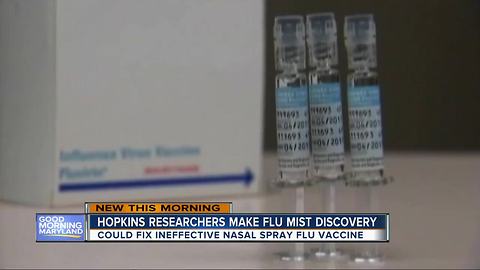 Johns Hopkins thinks they can fix flu mist vaccine