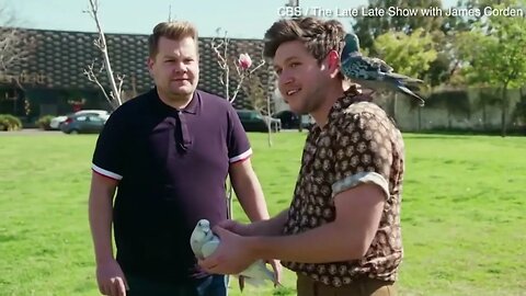 Niall Horan gets covered in pigeons for Carpool Karaoke segment #carpoolkaraoke