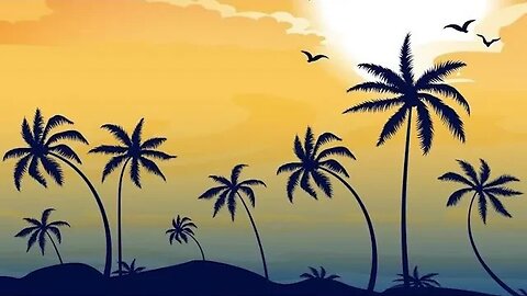 Exploring the Vastness of the Wilderness