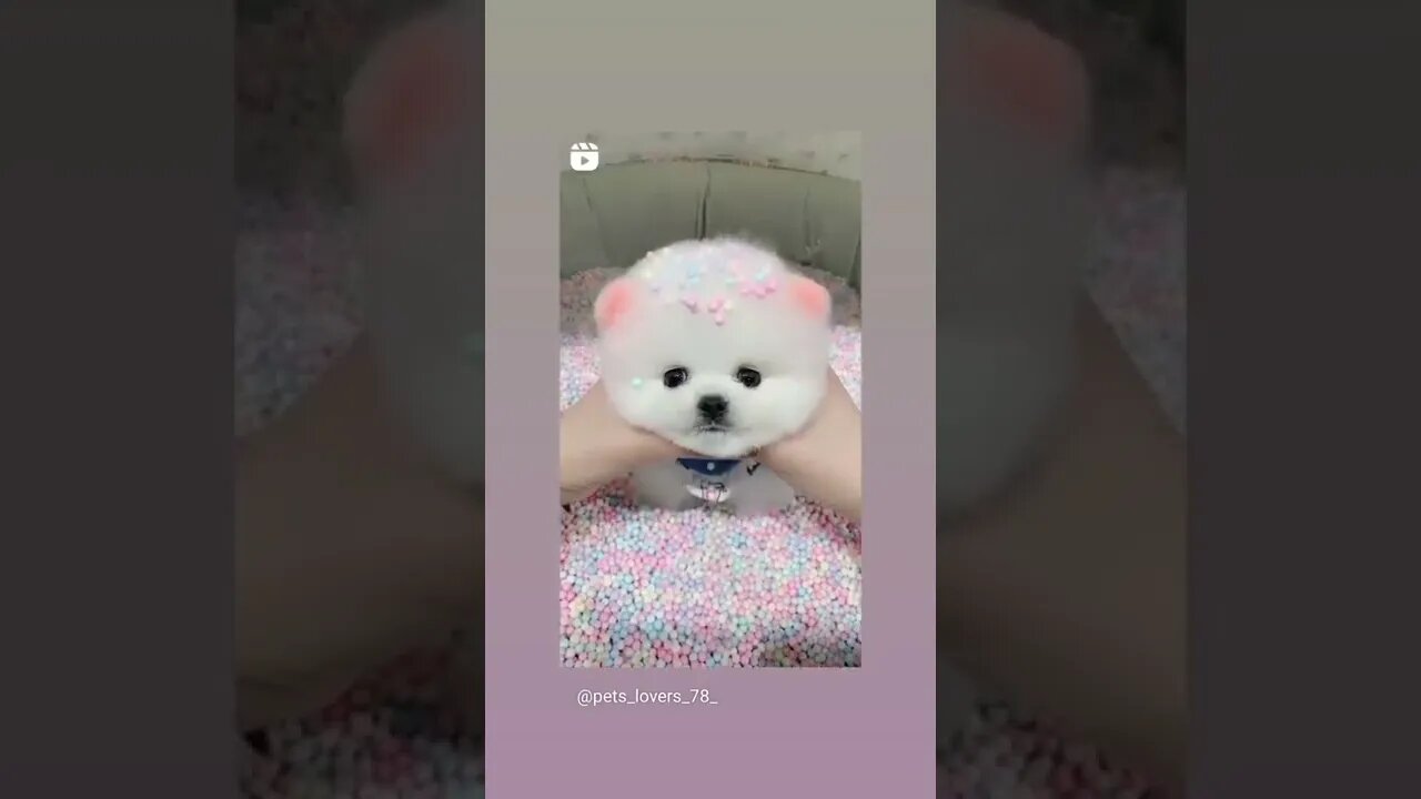 #short / #short video